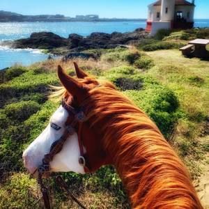 Meet your Posher, Wendy